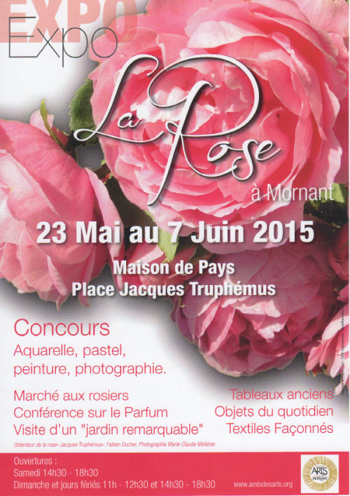 la rose